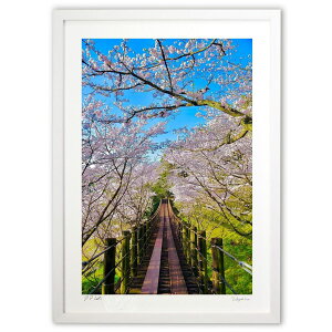 ŉ V̍ (mitan)CeA Ǌ| z i |X^[ A[g rO ւɏ  v[g _ A[gt[