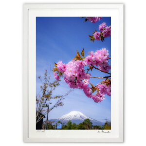 ŉ xm (Shinobu Muramatsu)