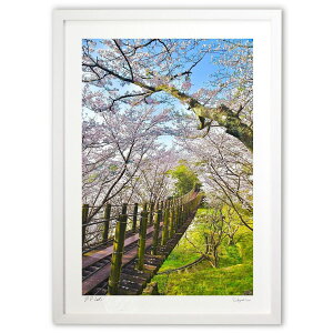 yX[p[SALEzzŉ V̍2 (mitan)CeA Ǌ| z i |X^[ A[g rO ւɏ  v[g _ A[gt[