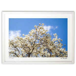 ŉ tǎߌ (Shinobu Muramatsu)