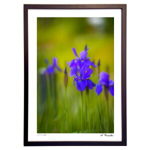 ŉ tJ~肻ȓ (Shinobu Muramatsu)