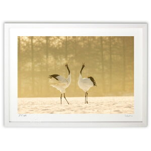 ŉ ɂ̒̒O ()CeA Ǌ| z i |X^[ A[g rO ւɏ  v[g _ A[gt[