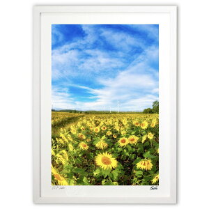 ŉ Ђ܂蔨 (eishowmutoh)CeA Ǌ| z i |X^[ A[g rO ւɏ  v[g _ A[gt[