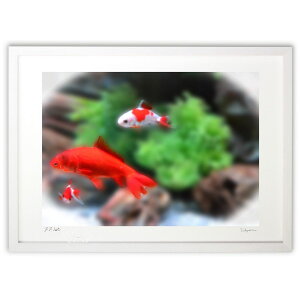 ŉ  ( P)CeA Ǌ| z i |X^[ A[g rO ւɏ  v[g _ A[gt[