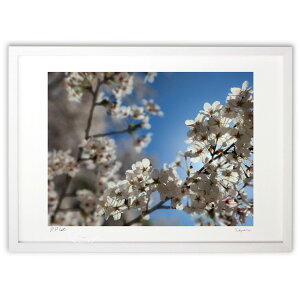 ŉ  (񂿂)CeA Ǌ| z i |X^[ A[g rO ւɏ  v[g _ A[gt[