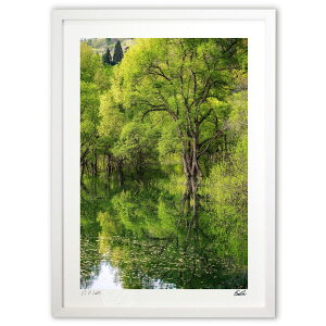 ŉ ΂̐ (eishowmutoh)CeA Ǌ| z i |X^[ A[g rO ւɏ  v[g _ A[gt[