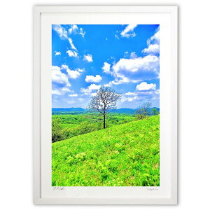 ŉ ͂؂̈{ (mitan)CeA Ǌ| z i |X^[ A[g rO ւɏ  v[g _ A[gt[