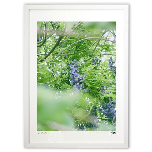 yX[p[SALEzzŉ 1 (Tsuyoshi)CeA Ǌ| z i |X^[ A[g rO ւɏ  v[g _ A[gt[