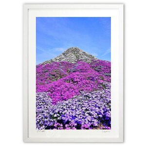 ŉ Ǝō (mitan)CeA Ǌ| z i |X^[ A[g rO ւɏ  v[g _ A[gt[