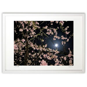 ŉ  (VՂ܂񂶂イ)CeA Ǌ| z i |X^[ A[g rO ւɏ  v[g _ A[gt[