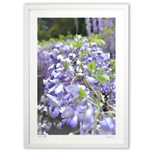 yX[p[SALEzzŉ ̉ (mitan)CeA Ǌ| z i |X^[ A[g rO ւɏ  v[g _ A[gt[