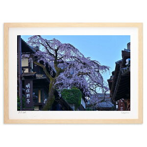 ŉ ꂪ[ (dolche)CeA Ǌ| z i |X^[ A[g rO ւɏ  v[g _ A[gt[