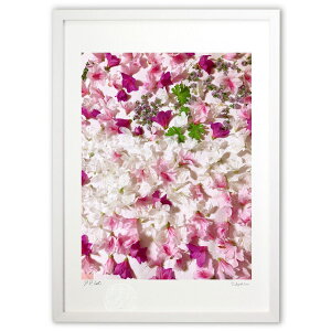 yX[p[SALEzzŉ Dɕ܂ (\t@)CeA Ǌ| z i |X^[ A[g rO ւɏ  v[g _ A[gt[