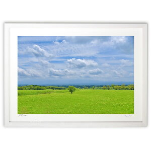 ŉ ̈{2 (mitan)CeA Ǌ| z i |X^[ A[g rO ւɏ  v[g _ A[gt[