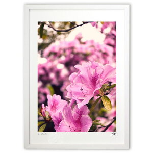 yX[p[SALEzzŉ 2 (Tsuyoshi)CeA Ǌ| z i |X^[ A[g rO ւɏ  v[g _ A[gt[