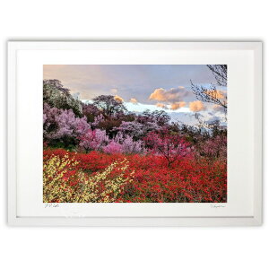 yX[p[SALEzzŉ  ?ǂ? (VՂ܂񂶂イ)CeA Ǌ| z i |X^[ A[g rO ւɏ  v[g _ A[gt[