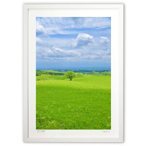 ŉ ̈{ (mitan)CeA Ǌ| z i |X^[ A[g rO ւɏ  v[g _ A[gt[