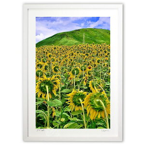 ŉ ̍si (mitan)CeA Ǌ| z i |X^[ A[g rO ւɏ  v[g _ A[gt[