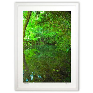 ŉ ΂̒r (mitan)CeA Ǌ| z i |X^[ A[g rO ւɏ  v[g _ A[gt[