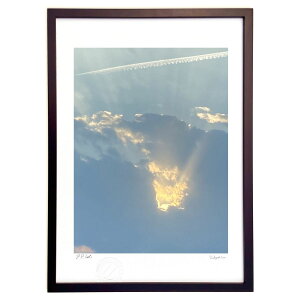 yX[p[SALEzzŉ L̏j (\t@)CeA Ǌ| z i |X^[ A[g rO ւɏ  v[g _ A[gt[