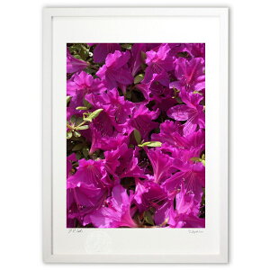 yX[p[SALEzzŉ 5̗z (\t@)CeA Ǌ| z i |X^[ A[g rO ւɏ  v[g _ A[gt[