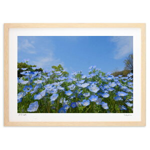 ŉ ltBƐ (h)CeA Ǌ| z i |X^[ A[g rO ւɏ  v[g _ A[gt[