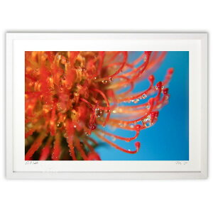 yX[p[SALEzzŉ N₩ȃsNbVƐH (m.o)CeA Ǌ| z i |X^[ A[g rO ւɏ  v[g _ A[gt[