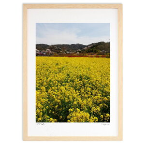 ŉ t̉F (V錒 VWE P)CeA Ǌ| z i |X^[ A[g rO ւɏ  v[g _ A[gt[