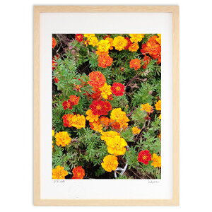 ŉ }[S[h (K0NAMI2415)CeA Ǌ| z i |X^[ A[g rO ւɏ  v[g _ A[gt[