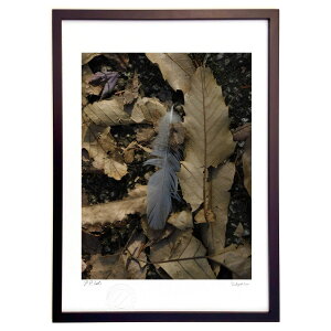 ŉ ̗Ƃ (mebuki)CeA Ǌ| z i |X^[ A[g rO ւɏ  v[g _ A[gt[