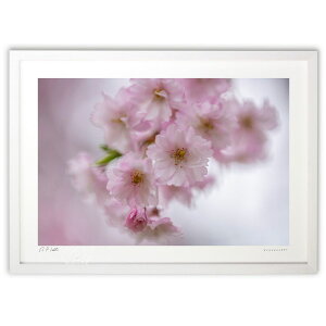 ŉ Wd (bluewoods07)CeA Ǌ| z i |X^[ A[g rO ւɏ  v[g _ A[gt[