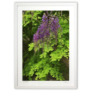 yX[p[SALEzzŉ X̒̓̉ (mitan)CeA Ǌ| z i |X^[ A[g rO ւɏ  v[g _ A[gt[