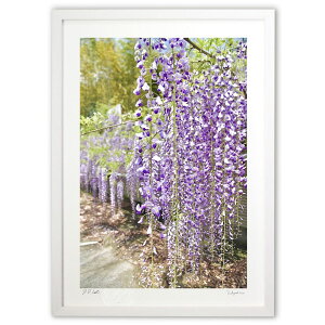 yX[p[SALEzzŉ Ȃ̉ (mitan)CeA Ǌ| z i |X^[ A[g rO ւɏ  v[g _ A[gt[