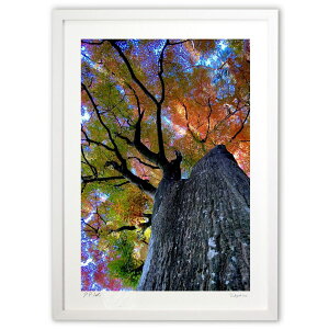 ŉ Â̏H (cGV)CeA Ǌ| z i |X^[ A[g rO ւɏ  v[g _ A[gt[