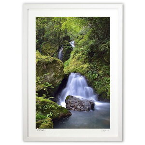 yX[p[SALEzzŉ X̒̑ (mitan)CeA Ǌ| z i |X^[ A[g rO ւɏ  v[g _ A[gt[