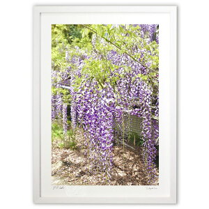 ŉ Ђƍ炭̉ (mitan)CeA Ǌ| z i |X^[ A[g rO ւɏ  v[g _ A[gt[