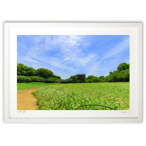 ŉ F̗_Ƌ̉Ԕ2@Rainbow Dragon God (nonpa168)