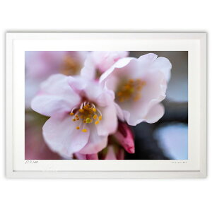 ŉ D֍ (bluewoods07)CeA Ǌ| z i |X^[ A[g rO ւɏ  v[g _ A[gt[