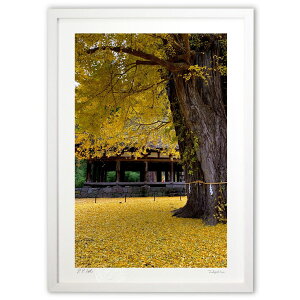 ŉ Â̔ӏH (cGV)CeA Ǌ| z i |X^[ A[g rO ւɏ  v[g _ A[gt[