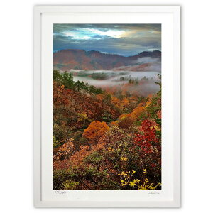 ŉ Â̔ӏH (cGV)CeA Ǌ| z i |X^[ A[g rO ւɏ  v[g _ A[gt[