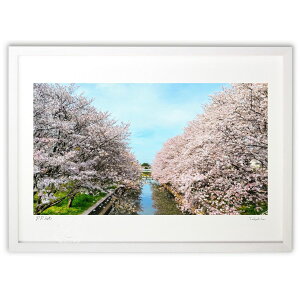 yX[p[SALEzzŉ ƋƐ (KEI)CeA Ǌ| z i |X^[ A[g rO ւɏ  v[g _ A[gt[