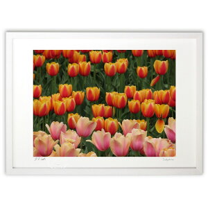 ŉ Rz (ToAki)CeA Ǌ| z i |X^[ A[g rO ւɏ  v[g _ A[gt[