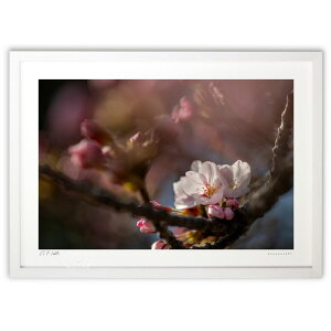 ŉ W (bluewoods07)CeA Ǌ| z i |X^[ A[g rO ւɏ  v[g _ A[gt[