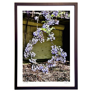 ŉ ÃVb^[Ɖ~`̓ (mitan)CeA Ǌ| z i |X^[ A[g rO ւɏ  v[g _ A[gt[