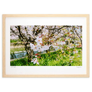 yX[p[SALEzzŉ 炭 (KEI)CeA Ǌ| z i |X^[ A[g rO ւɏ  v[g _ A[gt[