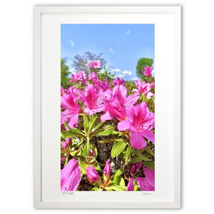 ŉ  (mitan)CeA Ǌ| z i |X^[ A[g rO ւɏ  v[g _ A[gt[