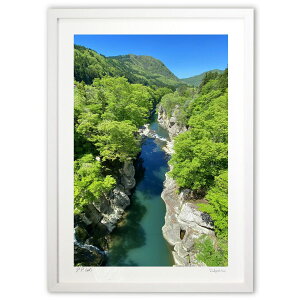 ŉ Â̐V (cGV)CeA Ǌ| z i |X^[ A[g rO ւɏ  v[g _ A[gt[