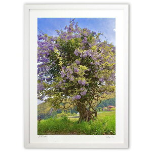 yX[p[SALEzzŉ ̖ (mitan)CeA Ǌ| z i |X^[ A[g rO ւɏ  v[g _ A[gt[