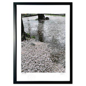 ŉ t̉J (t )CeA Ǌ| z i |X^[ A[g rO ւɏ  v[g _ A[gt[