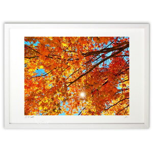 ŉ Photo wgtƑzx (Pen.)CeA Ǌ| z i |X^[ A[g rO ւɏ  v[g _ A[gt[